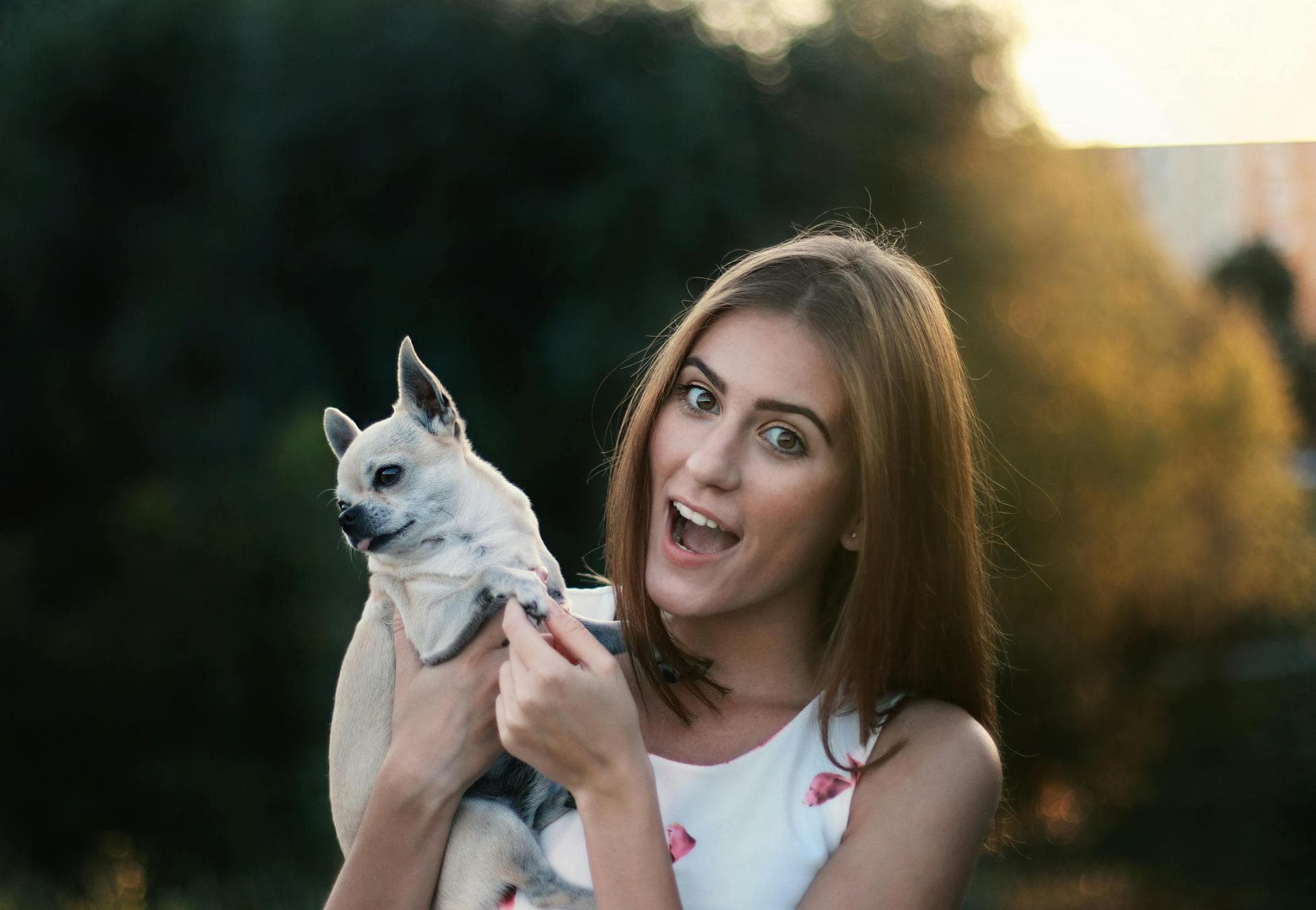 Best Vets in Barking